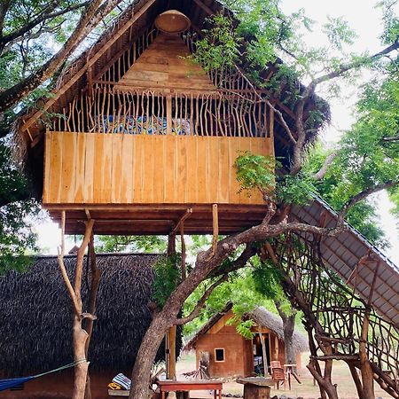 Yala Village Eco Tree House Tissamaharama Exteriér fotografie