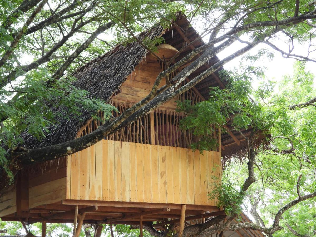 Yala Village Eco Tree House Tissamaharama Exteriér fotografie