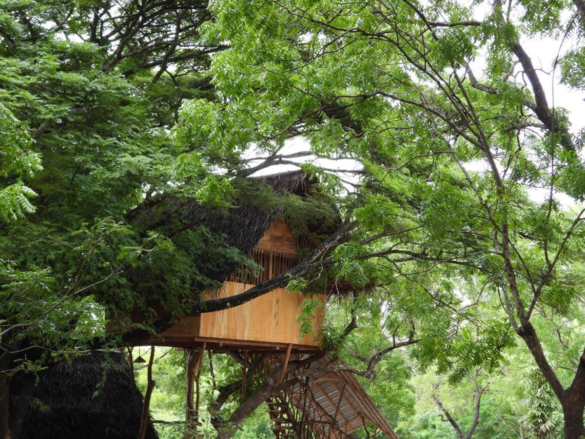 Yala Village Eco Tree House Tissamaharama Exteriér fotografie
