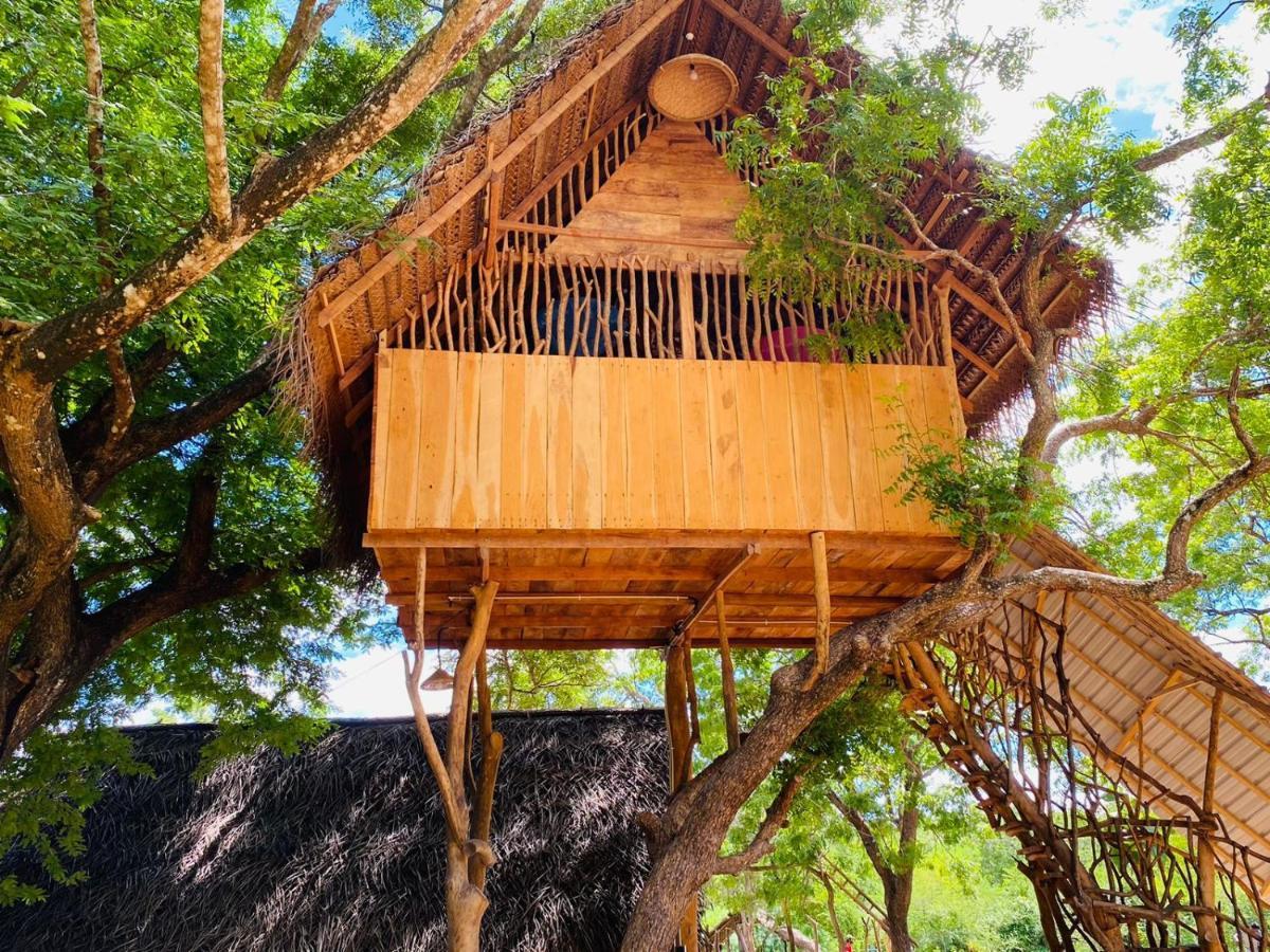 Yala Village Eco Tree House Tissamaharama Exteriér fotografie