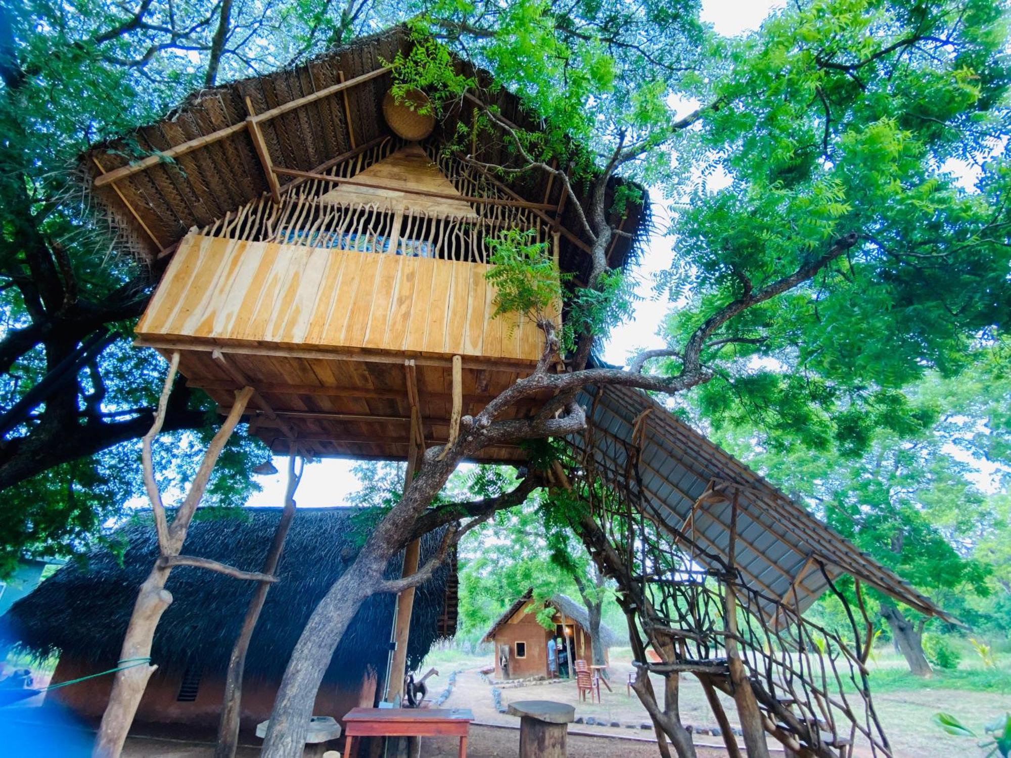 Yala Village Eco Tree House Tissamaharama Exteriér fotografie