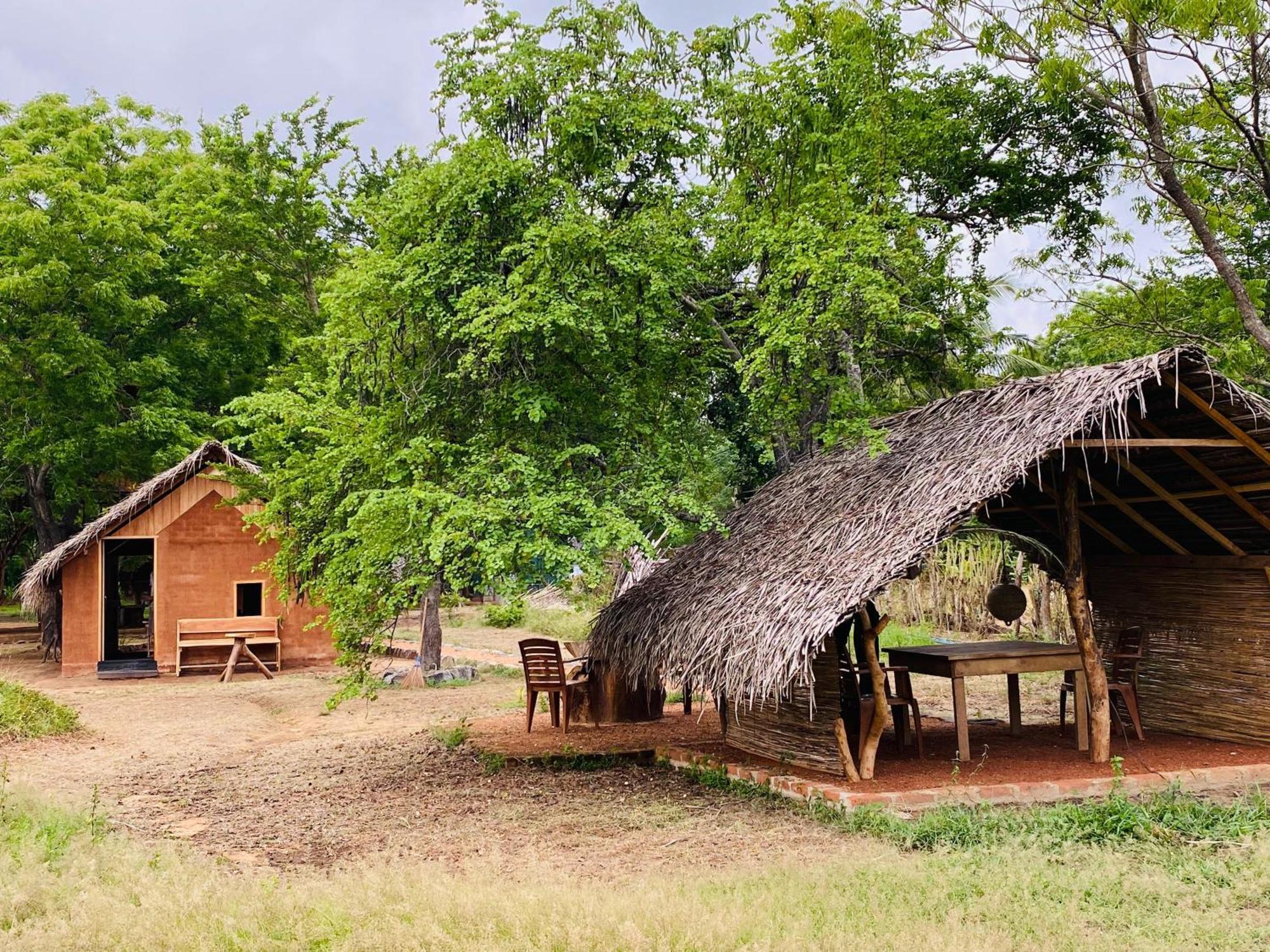 Yala Village Eco Tree House Tissamaharama Exteriér fotografie