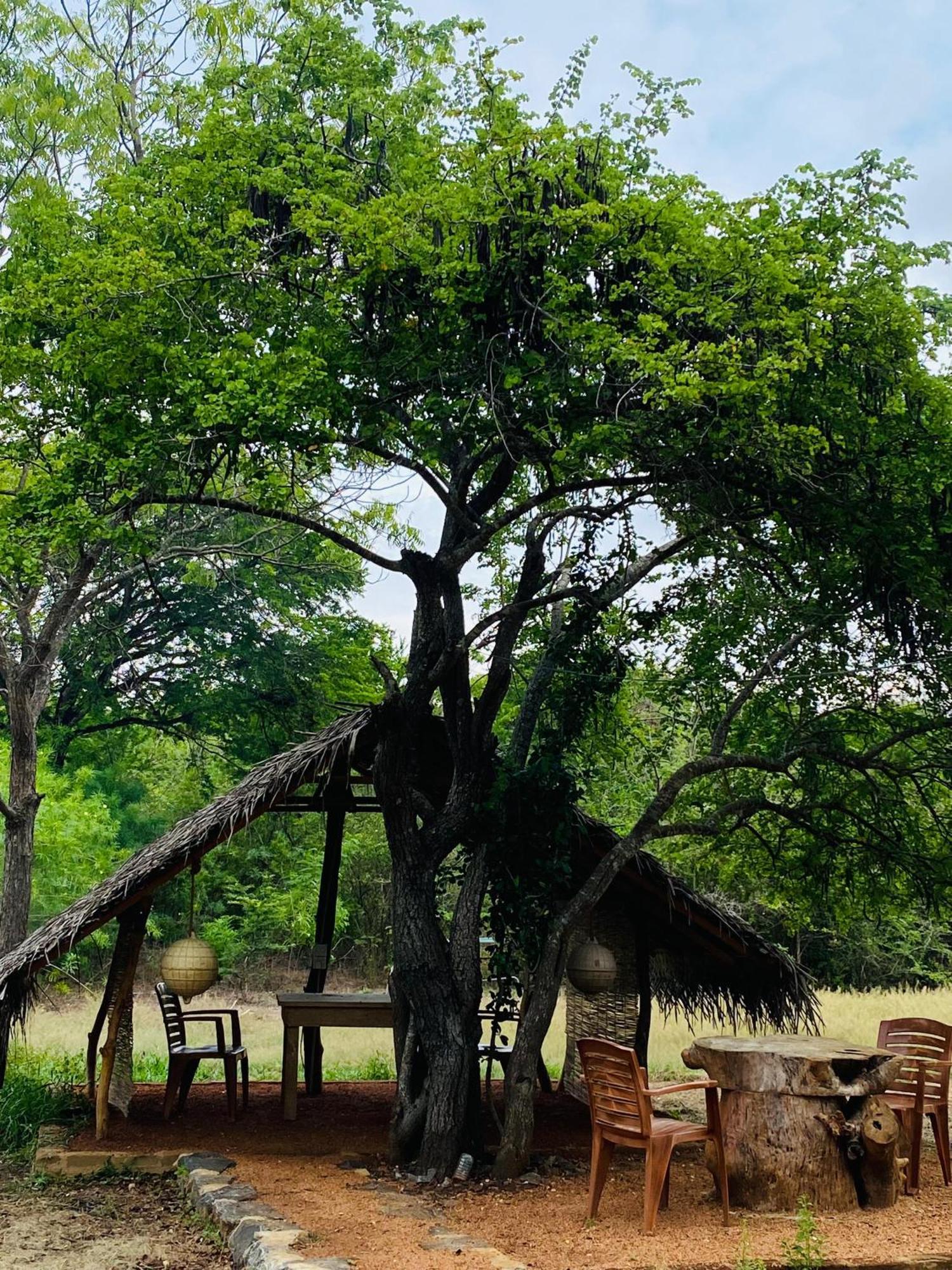 Yala Village Eco Tree House Tissamaharama Exteriér fotografie