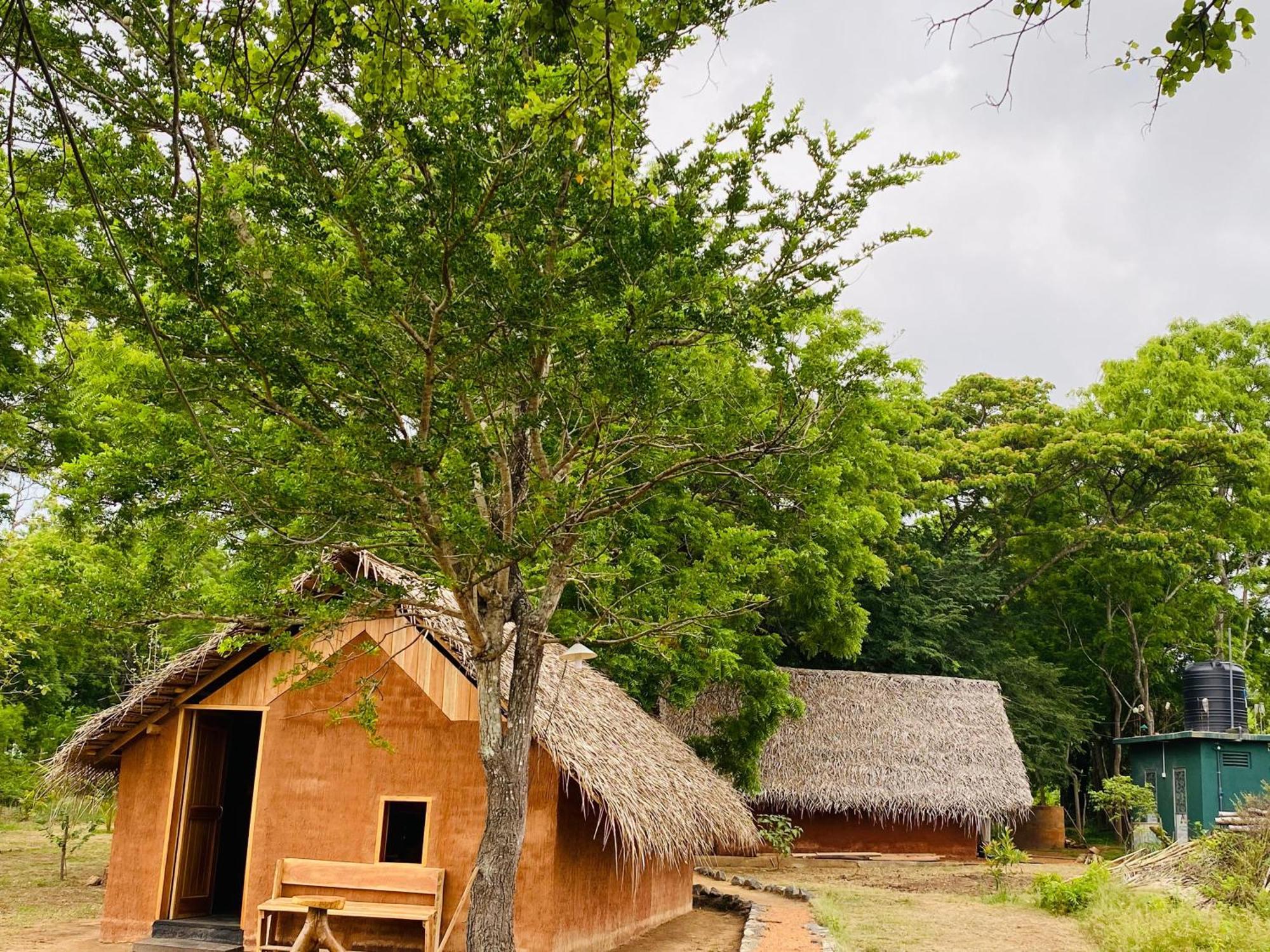 Yala Village Eco Tree House Tissamaharama Exteriér fotografie